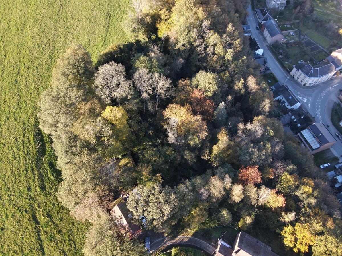 Gites Douillets A L'Oree Des Bois. Houyet Dış mekan fotoğraf