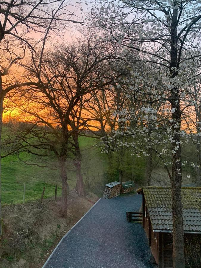Gites Douillets A L'Oree Des Bois. Houyet Dış mekan fotoğraf